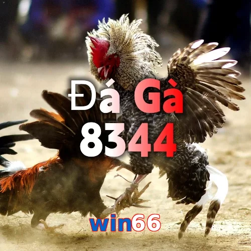 win66